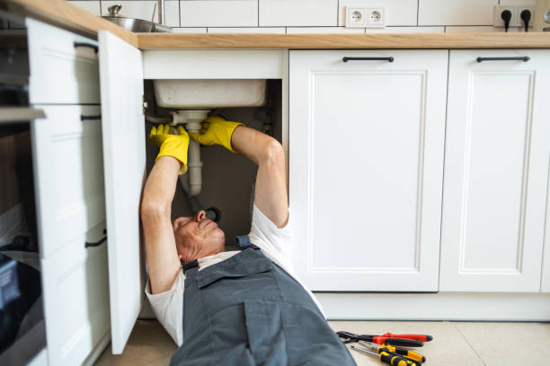 Best Plumbing Services Near Me  in Austin, MN