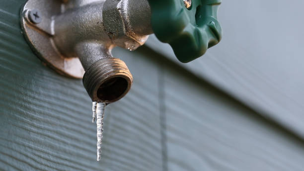Best Septic Systems  in Austin, MN