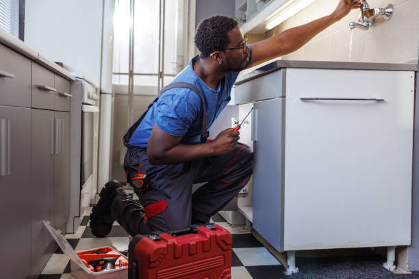  Austin, MN Plumbing Pros