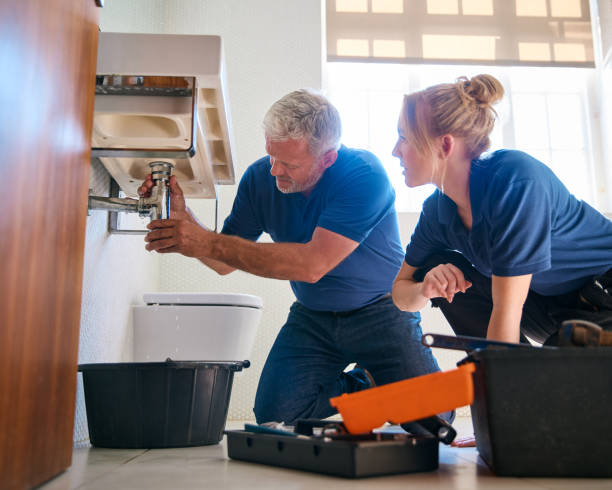 Best Toilet Repair Services  in Austin, MN